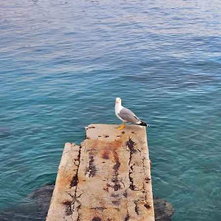 Zorka 2 Appartamento *